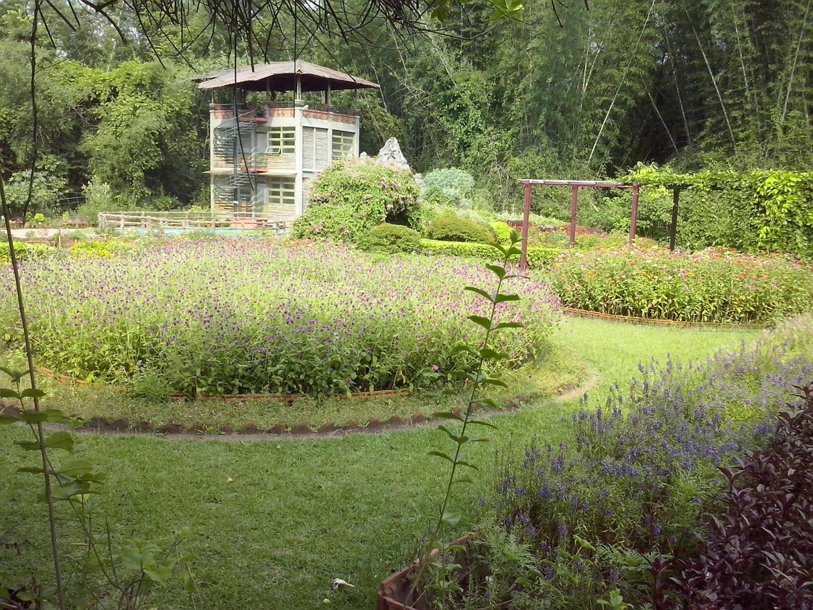 A landscaped garden enclosed by bamboo and forest at Nilambur